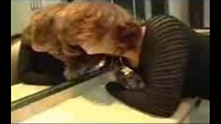 Masturbación y culo follado